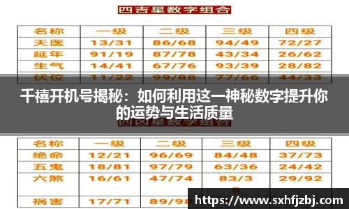 球友体育官网版