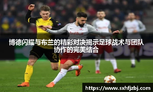 球友体育官网入口