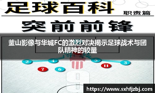 球友体育官网版